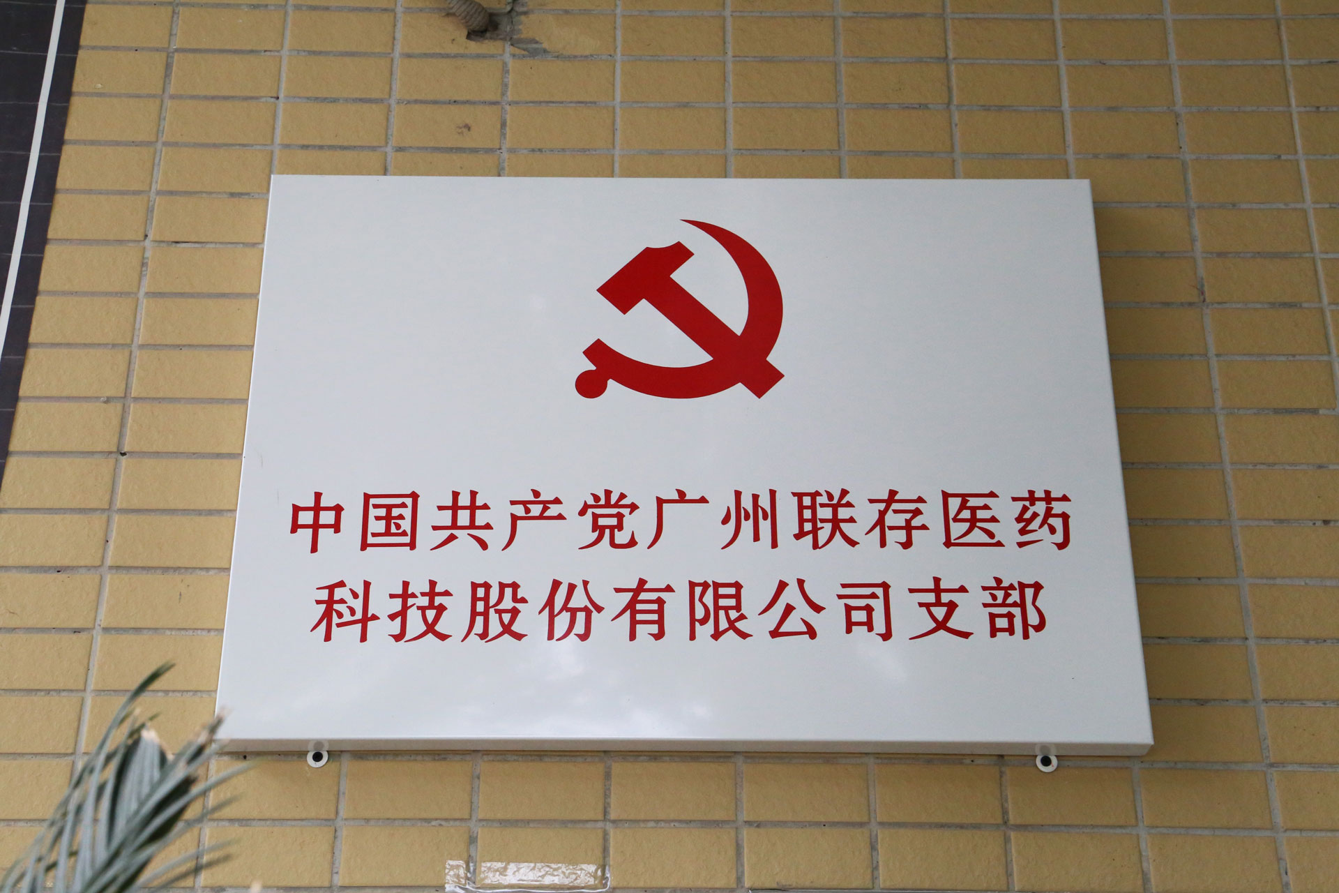 党建引领凝聚力量，旗帜高举争先锋 | 365完美体育医药科技股份有限公司党支部正式成立